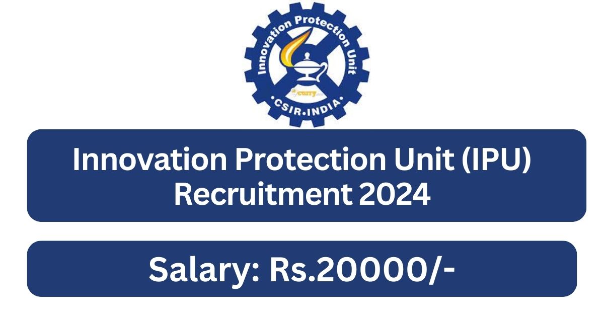 IPU Recruitment 2024 07 Project Assistant Posts Apply Now Tamilanguide   IPU Recruitment 2024 07 Project Assistant Posts Apply Now 